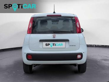 SPOTICAR Fiat Panda 1.0 Firefly S&s Hybrid Usata - City Car Ibrido Bianco - Castelfranco Veneto - 1202374131_5