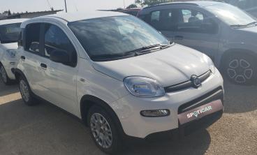 SPOTICAR Fiat Panda 1.0 Firefly S And S Hybrid Usata - City Car Ibrido Bianco - Foggia - 502388736_1