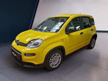 SPOTICAR Fiat Panda 1.0 Firefly S And S Hybrid Usata - City Car Ibrido Bicolor - Casatenovo - 502389009_3