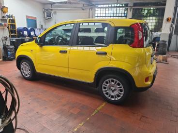 SPOTICAR Fiat Panda 1.0 Firefly S And S Hybrid Usata - City Car Ibrido Bicolor - Casatenovo - 502389009_4