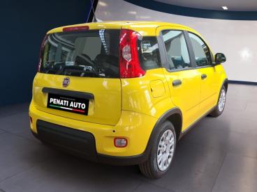 SPOTICAR Fiat Panda 1.0 Firefly S And S Hybrid Usata - City Car Ibrido Bicolor - Casatenovo - 502389009_5