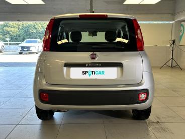 SPOTICAR Fiat Panda 1.2 69 Cv Easypower E6d-temp Easy Usata - City Car Gpl-metano Grigio - Milano - 1202391694_5