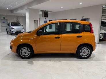SPOTICAR Fiat Panda 1.2 69cv S&s E6d-temp Easy Usata - City Car Benzina Arancione - Sesto San Giovanni - 1202392220_4
