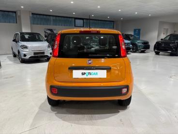 SPOTICAR Fiat Panda 1.2 69cv S&s E6d-temp Easy Usata - City Car Benzina Arancione - Sesto San Giovanni - 1202392220_5