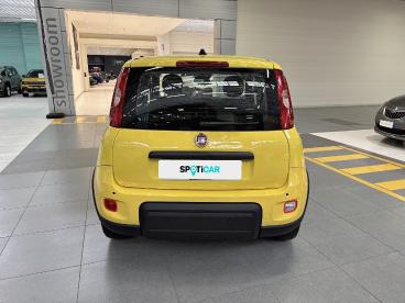 SPOTICAR Fiat Panda 1.0 Firefly 70cv S&s Hybrid Usata - City Car Ibrido Giallo - Roma - 1202393418_5