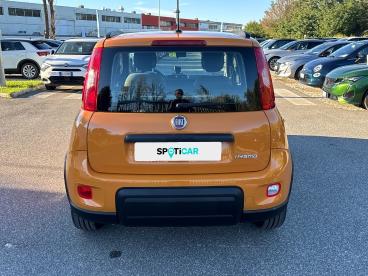 SPOTICAR Fiat Panda 1.0 Firefly 70cv S&s Hybrid City Life Usata - City Car Ibrido Arancione - Roma - 1202395448_5