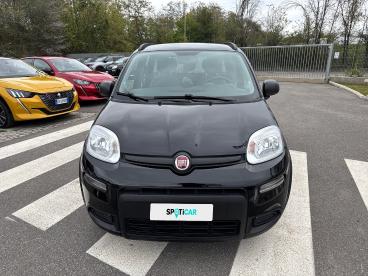 SPOTICAR Fiat Panda 1.0 Firefly 70cv S&s Hybrid City Life Usata - City Car Ibrido Nero - Roma - 1202395931_2