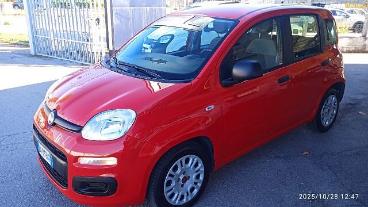 SPOTICAR Fiat Panda 1.0 Firefly S&s Hybrid Usata - City Car Ibrido Rosso - San Giorgio A Liri - 1202397794_1