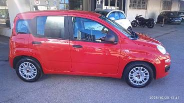 SPOTICAR Fiat Panda 1.0 Firefly S&s Hybrid Usata - City Car Ibrido Rosso - San Giorgio A Liri - 1202397794_2