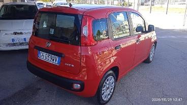 SPOTICAR Fiat Panda 1.0 Firefly S&s Hybrid Usata - City Car Ibrido Rosso - San Giorgio A Liri - 1202397794_3