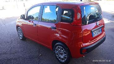 SPOTICAR Fiat Panda 1.0 Firefly S&s Hybrid Usata - City Car Ibrido Rosso - San Giorgio A Liri - 1202397794_5