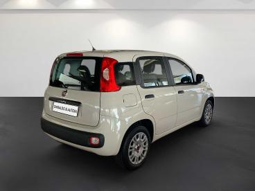 SPOTICAR Fiat Panda 1.2 Easy 69cv E6 Usata - City Car Benzina Beige - Padova - 1202400772_4