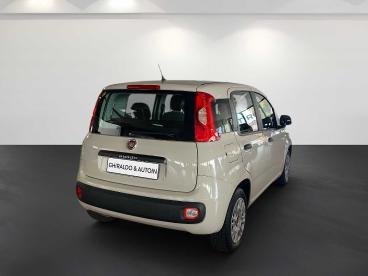 SPOTICAR Fiat Panda 1.2 Easy 69cv E6 Usata - City Car Benzina Beige - Padova - 1202400772_5
