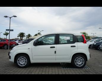 SPOTICAR Fiat Panda My25 1.0 70cv Hybrid Panda Usata - City Car Ibrido Bianco - Pineto - 502401365_4