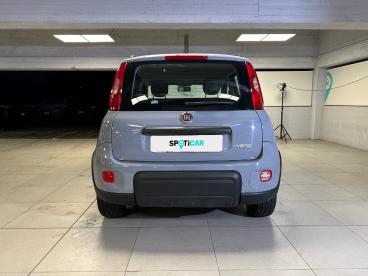 SPOTICAR Fiat Panda 1.0 Firefly 70cv S&s Hybrid City Life Usata - City Car Ibrido Grigio - Milano - 1202401477_5