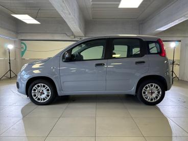 SPOTICAR Fiat Panda 1.2 69cv S&s E6d-temp Easy Usata - City Car Benzina Grigio - Milano - 1202401738_4