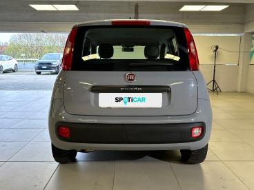 SPOTICAR Fiat Panda 1.2 69cv S&s E6d-temp Easy Usata - City Car Benzina Grigio - Milano - 1202401738_5