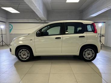 SPOTICAR Fiat Panda 1.2 69cv E6 Easy Usata - City Car Benzina Bianco - Milano - 1202401739_4