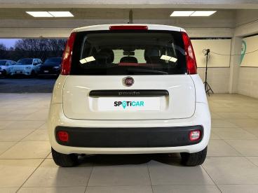 SPOTICAR Fiat Panda 1.2 69cv E6 Easy Usata - City Car Benzina Bianco - Milano - 1202401739_5