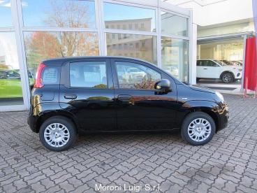 SPOTICAR Fiat Panda 1.0 Firefly S&s Hybrid Icon Usata - City Car Benzina Nero - Seregno - 1202402978_2
