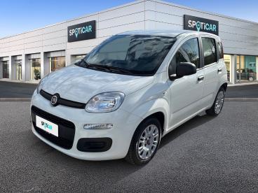 SPOTICAR Fiat Panda 1.0 Firefly 70cv S&s Hybrid Usata - City Car Ibrido Bianco - Roma - 1202405439_1