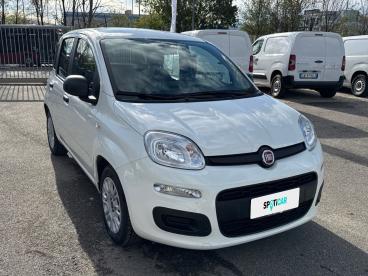 SPOTICAR Fiat Panda 1.0 Firefly 70cv S&s Hybrid Usata - City Car Ibrido Bianco - Roma - 1202405439_3