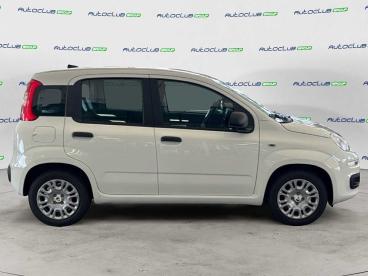 SPOTICAR Fiat Panda 1.0 70cv Hybrid Icon Usata - City Car Ibrido Bianco - Bari - 1202405510_4