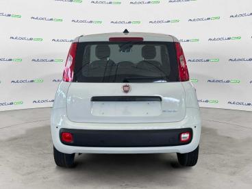 SPOTICAR Fiat Panda 1.0 70cv Hybrid Icon Usata - City Car Ibrido Bianco - Bari - 1202405512_5