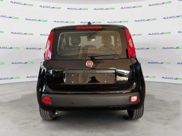SPOTICAR Fiat Panda 1.0 70cv Hybrid Icon Usata - City Car Ibrido Nero - Bari - 1202405526_5
