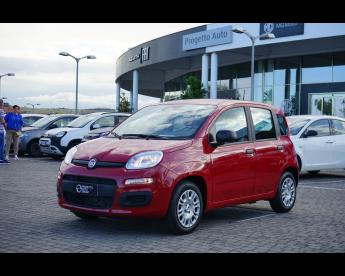 SPOTICAR Fiat Panda My25 1.0 70cv Hybrid Panda Usata - City Car Ibrido Rosso - Pineto - 502414256_1