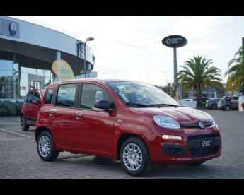 SPOTICAR Fiat Panda My25 1.0 70cv Hybrid Panda Usata - City Car Ibrido Rosso - Pineto - 502414256_3