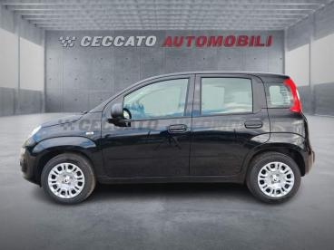 SPOTICAR Fiat Panda 1.0 70cv Hybrid Pop Usata - City Car Ibrido Nero - Albignasego - 502416739_2