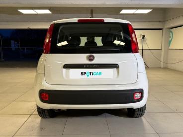 SPOTICAR Fiat Panda 1.2 69cv E6 Easy Usata - City Car Benzina Bianco - Milano - 1202417162_5