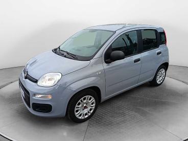 SPOTICAR Fiat Panda 1.2 Easy Usata - City Car Benzina Grigio - Siena - 1202417224_1