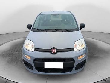 SPOTICAR Fiat Panda 1.2 Easy Usata - City Car Benzina Grigio - Siena - 1202417224_2