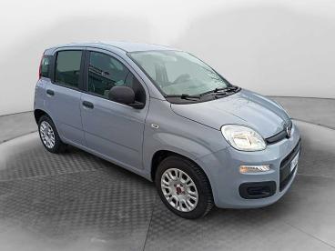 SPOTICAR Fiat Panda 1.2 Easy Usata - City Car Benzina Grigio - Siena - 1202417224_3