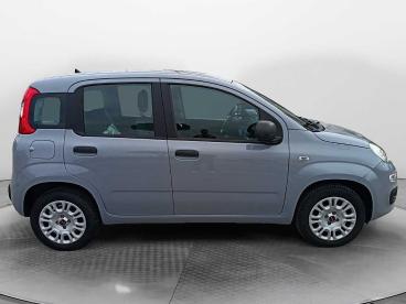 SPOTICAR Fiat Panda 1.2 Easy Usata - City Car Benzina Grigio - Siena - 1202417224_4