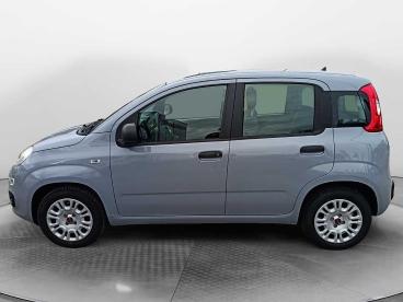 SPOTICAR Fiat Panda 1.2 Easy Usata - City Car Benzina Grigio - Siena - 1202417224_5