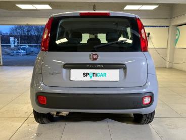 SPOTICAR Fiat Panda 1.2 69cv S&s E6d-temp Easy Usata - City Car Benzina Grigio - Milano - 1202417506_5