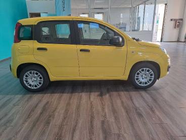 SPOTICAR Fiat Panda 1.0 Firefly S&s Hybrid Usata - City Car Ibrido Giallo - Cittaducale - 1202419178_4