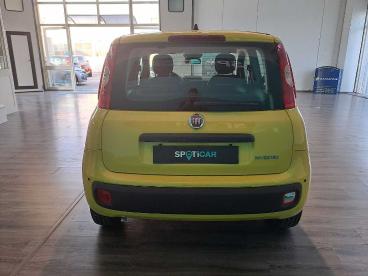 SPOTICAR Fiat Panda 1.0 Firefly S&s Hybrid Usata - City Car Ibrido Giallo - Cittaducale - 1202419178_5