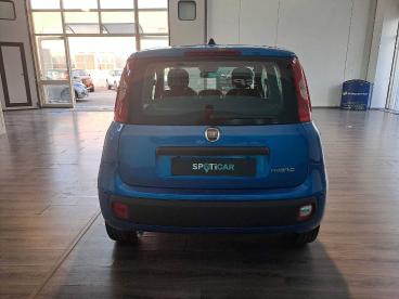 SPOTICAR Fiat Panda 1.0 Firefly S&s Hybrid Usata - City Car Ibrido Blu - Cittaducale - 1202419186_5