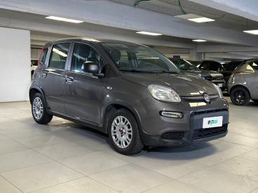 SPOTICAR Fiat Panda 1.0 Firefly 70cv S&s Hybrid Usata - City Car Ibrido Grigio - Milano - 1202420643_3