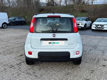SPOTICAR Fiat Panda 1.0 Firefly 70cv S&s Hybrid City Life Usata - City Car Ibrido Bianco - Roma - 1202423370_5