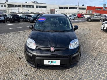 SPOTICAR Fiat Panda 1.0 Firefly 70cv S&s Hybrid City Life Usata - City Car Ibrido Nero - Roma - 1202424381_2