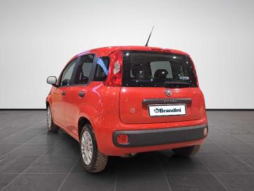 SPOTICAR Fiat Panda 1.2 Pop 69cv Usata - City Car Benzina Rosso - Sesto Fiorentino - 1202424477_4