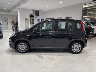 SPOTICAR Fiat Panda 1.0 Firefly 70cv S&s Hybrid Usata - City Car Ibrido Nero - Sesto San Giovanni - 1202425612_4