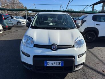 SPOTICAR Fiat Panda Iii 2021 1.0 Firefly Hybrid City Life S And S 70cv Usata - City Car Ibrido Bianco - Biella - 502425789_2