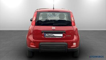 SPOTICAR Fiat Panda Iii 2021 1.0 Firefly Hybrid S And S 70cv Usata - City Car Ibrido Rosso - Torino - 502426777_4
