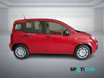 SPOTICAR Fiat Panda 1.0 Firefly S And S Hybrid Pandina Adas Usata - City Car Ibrido Rosso - Bologna - 502428102_3